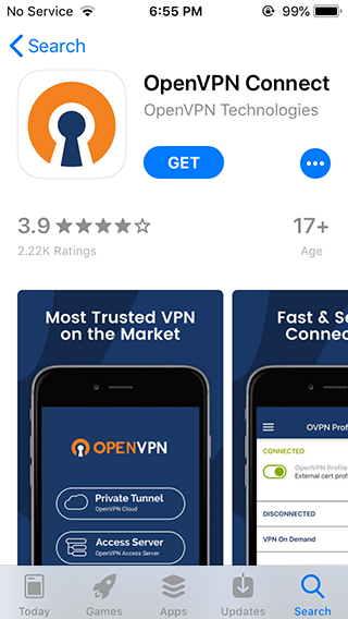 How to set up OpenVPN on iPhone or iPod: Step 1