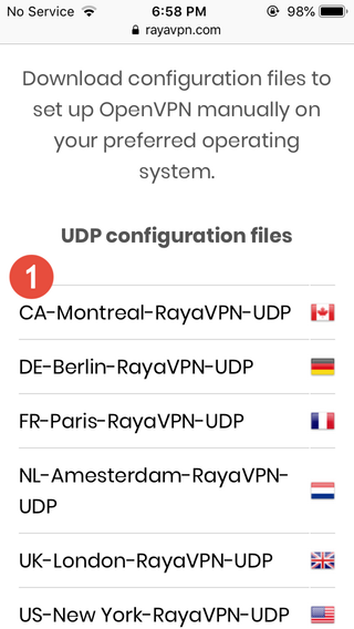 How to set up OpenVPN on iPhone or iPod: Step 2