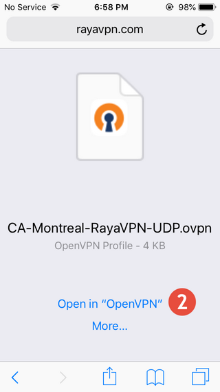 How to set up OpenVPN on iPhone or iPod: Step 2