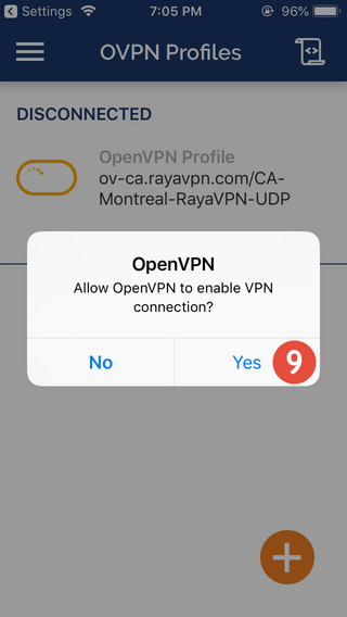 How to set up OpenVPN on iPhone or iPod: Step 7