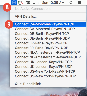 How to set up OpenVPN on macOS: Step 7